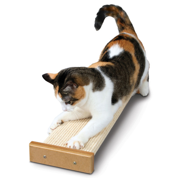 Top Cat Scratching Post Picks