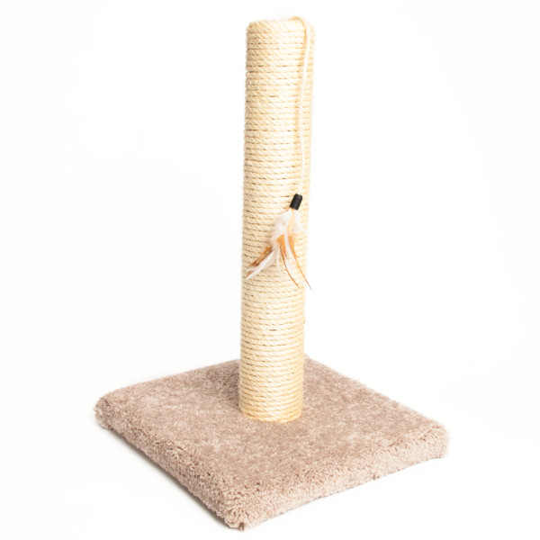 Top Cat Scratching Post Picks