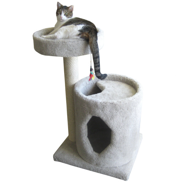 Top Cat Scratching Post Picks