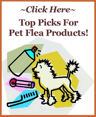 Natural Household Flea Remedies