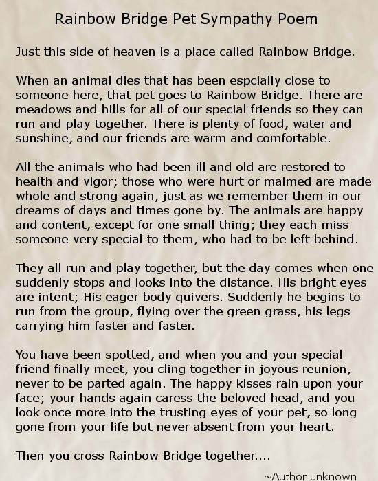 rainbow-bridge-pet-sympathy-poem.jpg