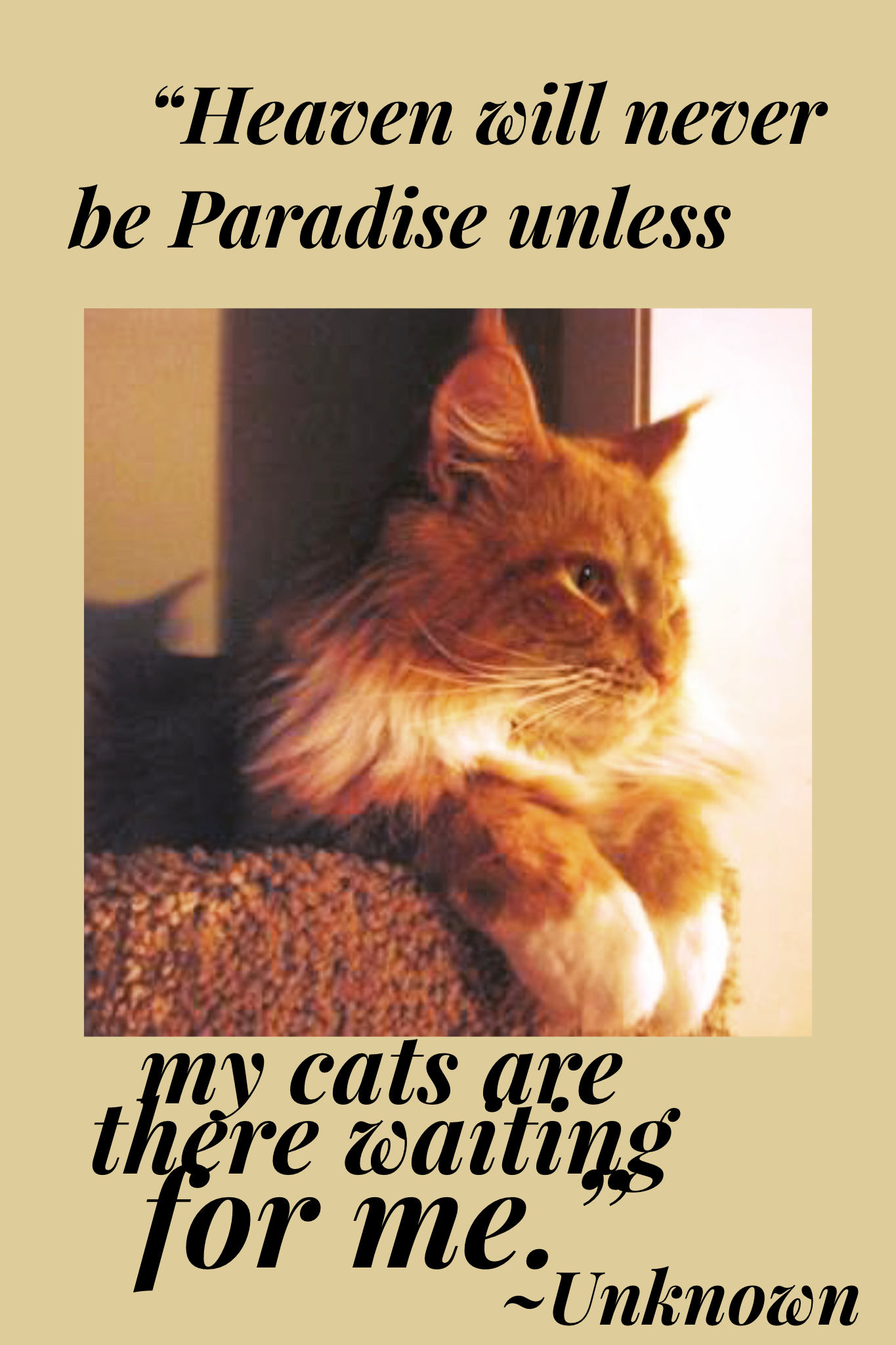 "Heaven will never be Paradise unless my cats are there waiting for me."