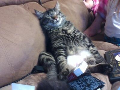 Dexter