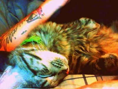 Dexter