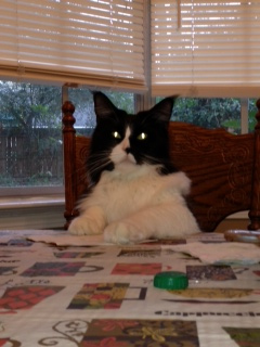 O'Malley