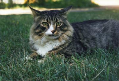 Thomas