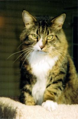 Thomas