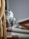 Molly