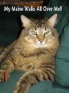 Tigger