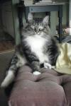 Oliver
