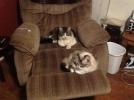 Littleman and Emmie Lou