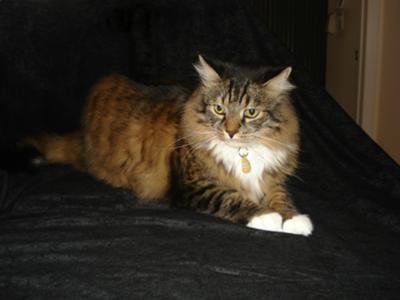 Max