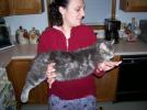 Nicole's Cat
