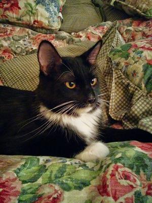 Rosie