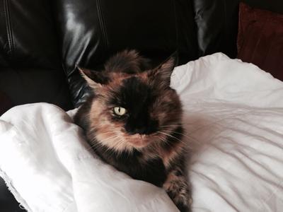 Bonnie