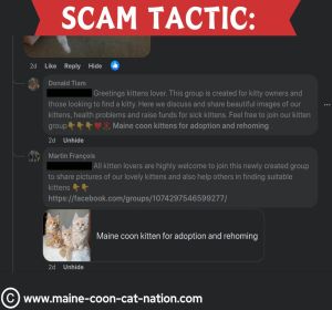 scammers encouraging people to click and join fraudulent groups