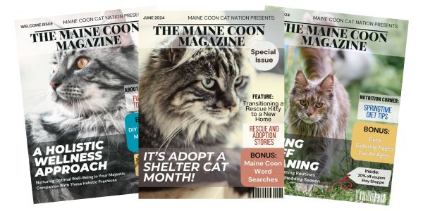 Maine Coon Magazines three maine coon magazines