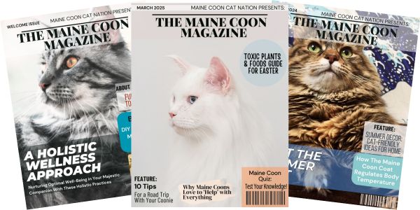 Maine Coon Magazines three issues of the latest maine coon magazines.