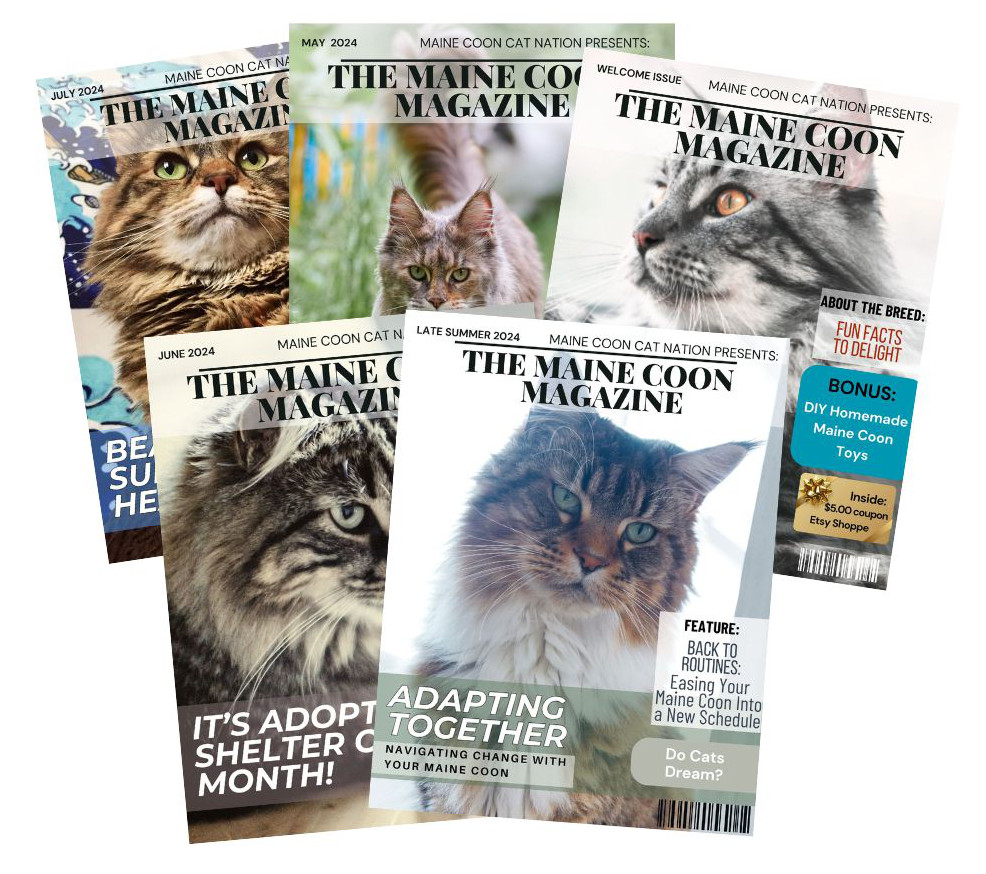 The Maine Coon Magazine five issues of the maine coon magazine