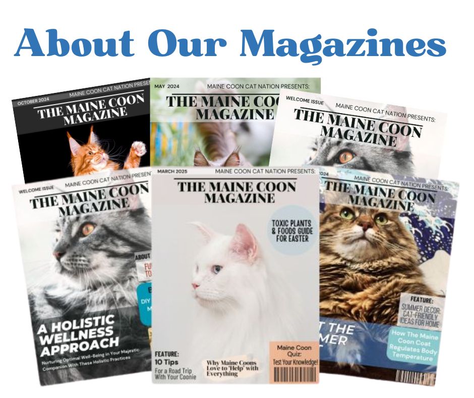 six issues of the maine coon magazine.