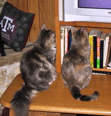 Adah and Piper