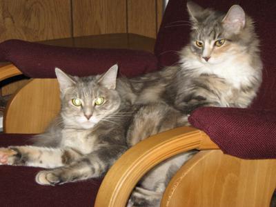 Adah and Piper