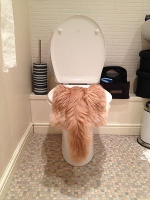 Aslan