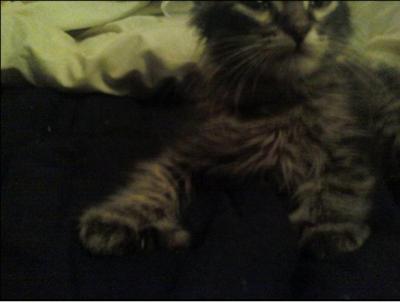 Baby