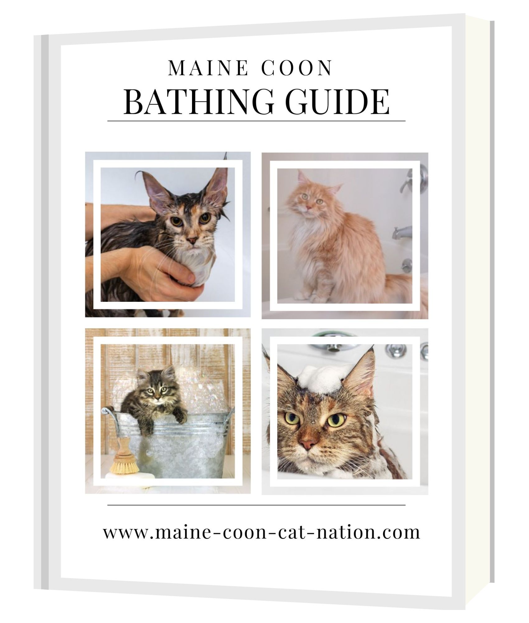 give a cat a bath guide ebook