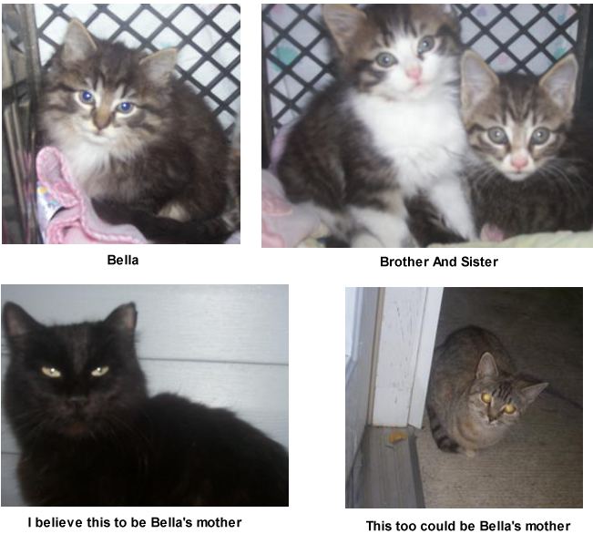 bella and family
