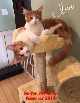 Benton & Winston - Twin Brothers
