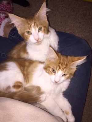 Benton & Winston - Twin Brothers