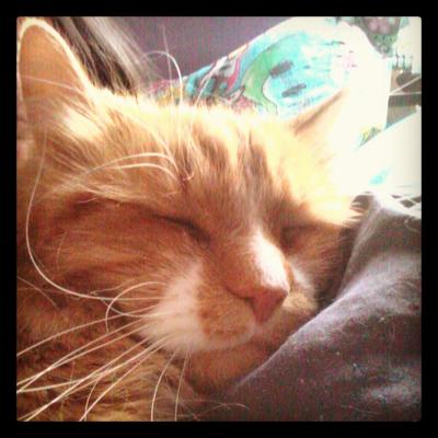 Bernard