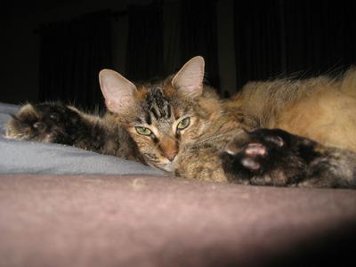 Billie Bean