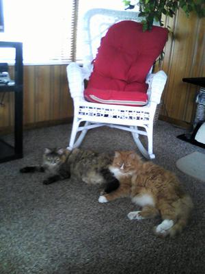 Binkers and Dolly