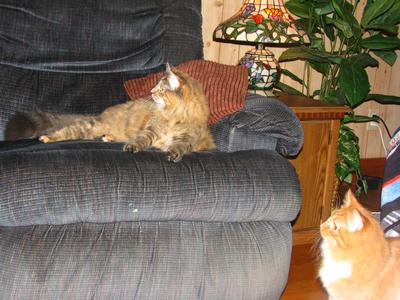 Binkers and Dolly