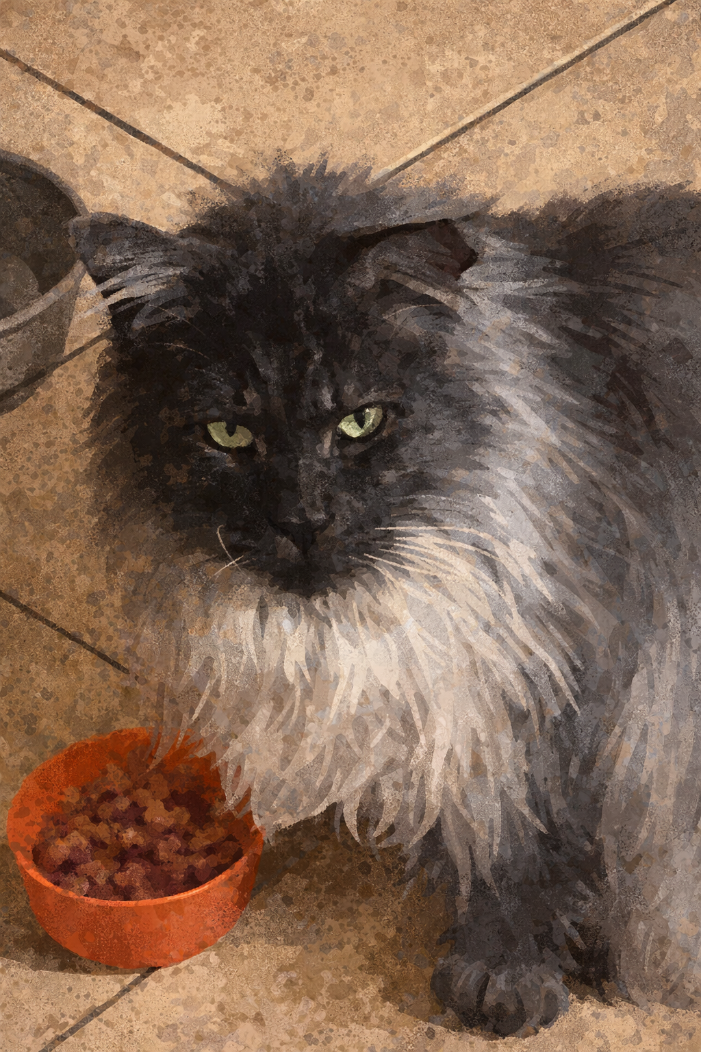 big black smoke maine coon at his bowl.