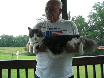 Man holding stretched out 6 month old kitten. bobdylan712-4