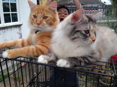 Boboi and Gerl