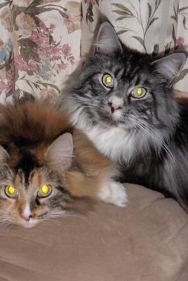 Boone and Calli