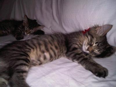 Brady and Luna