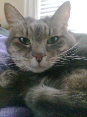 Bubba
