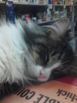 Bubby