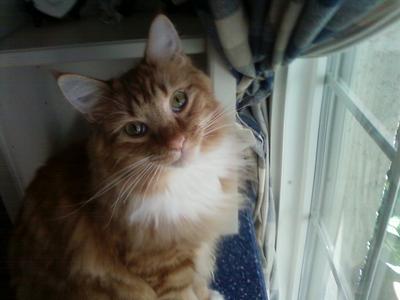 Bubby