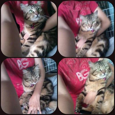 El Bubu Gendut