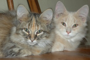 Buddy and Nora