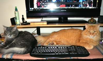 Buster and Molly