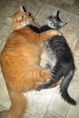 Buster and Molly