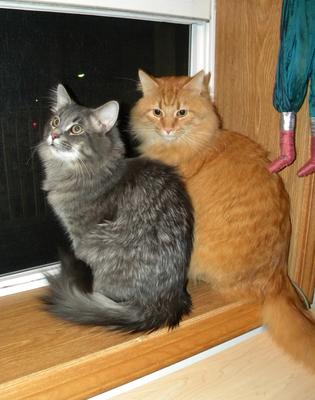 Buster and Molly