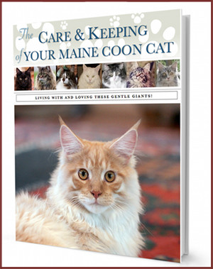 maine-coon-care-guide